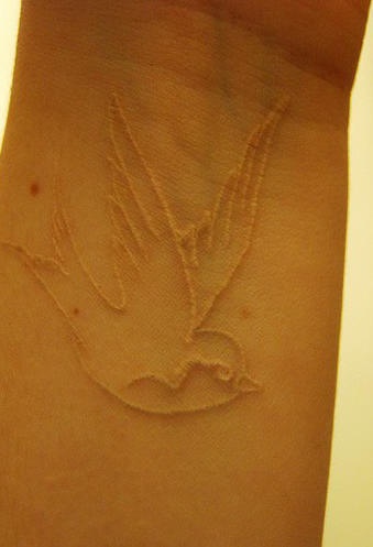 白色经典燕子隐形纹身图案