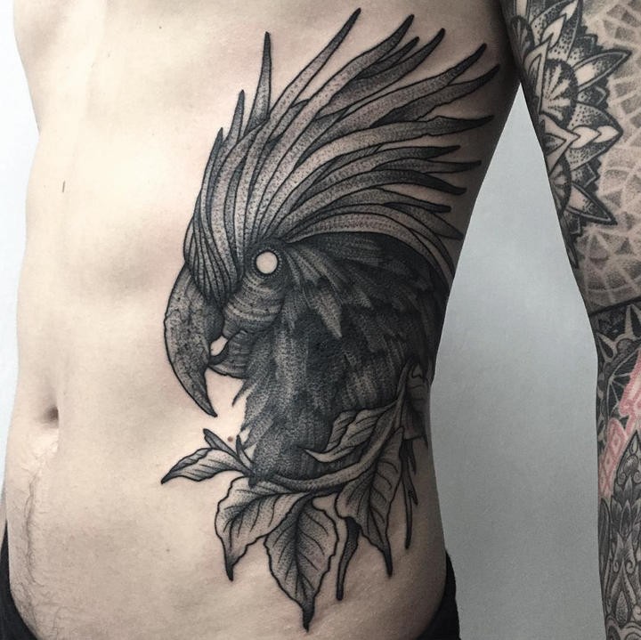 雕刻风格黑色鹦鹉与树叶侧肋纹身图案