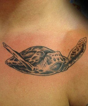 游泳的乌龟黑色写实纹身图案