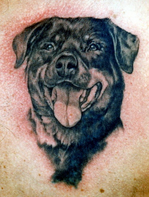 胸部黑灰罗威纳犬微笑吐舌纹身图案