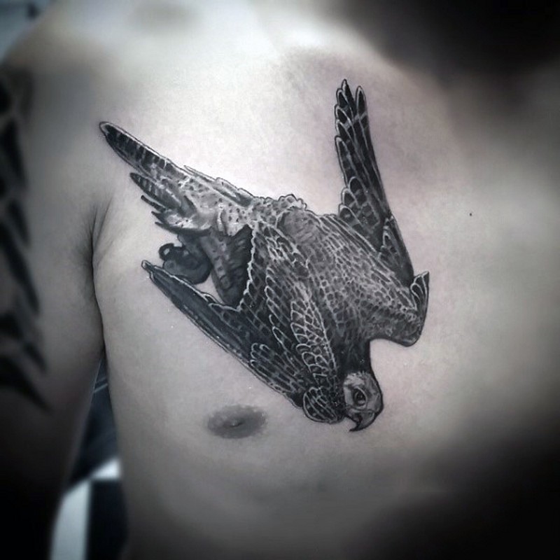 胸部飞行的老鹰逼真纹身图案