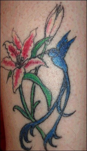 蓝色长尾蜂鸟百合花纹身图案