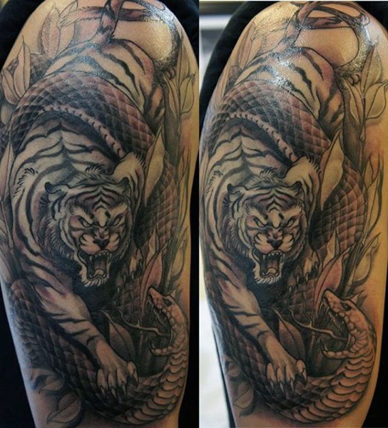黑灰风格老虎和蛇战斗纹身图案