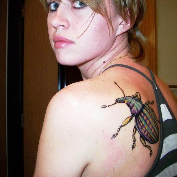 女性背部逼真的五彩昆虫纹身图案