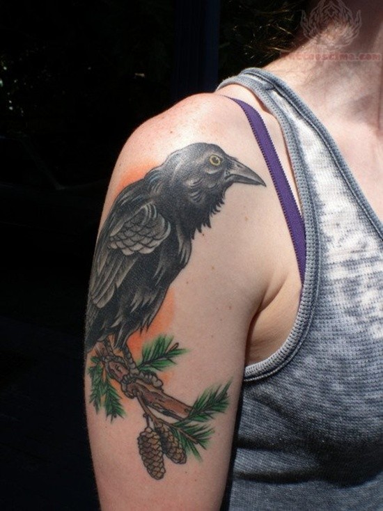 大臂old school彩色乌鸦坐在杉木枝纹身图案