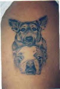 牧羊犬和斗牛犬头像纹身图案