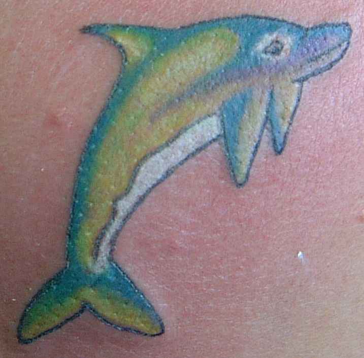 绿色和蓝色的海豚纹身图案
