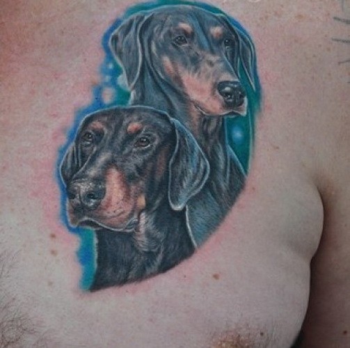 胸部杜宾犬和蓝色背景纹身图案