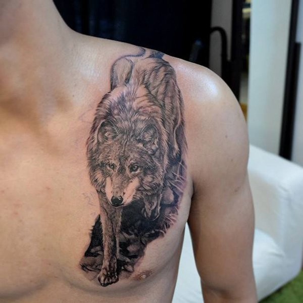 胸部和肩膀逼真的狼纹身图案