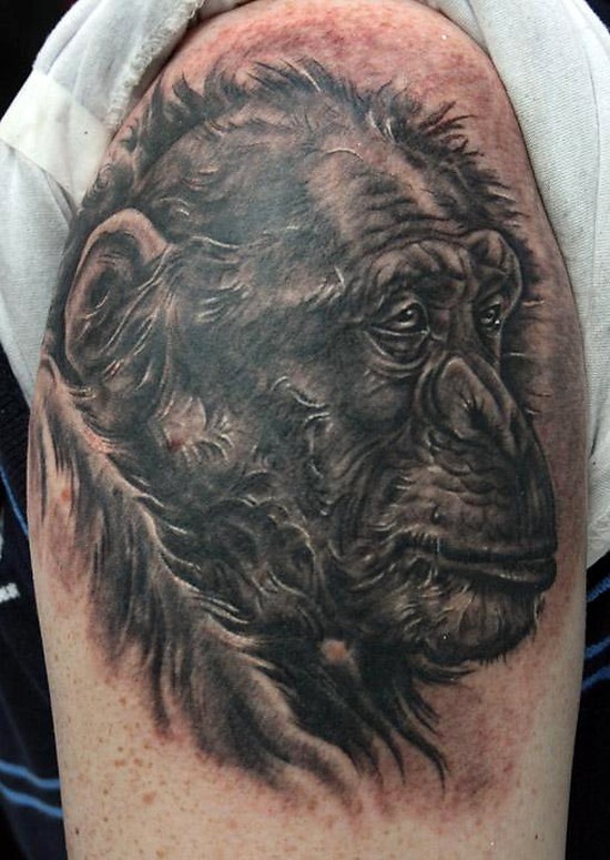 黑色的黑猩猩头部大臂纹身图案