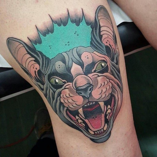 腿部现代风格彩色邪恶的疯狂猫纹身图案