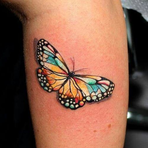 蝴蝶彩色小腿纹身图案