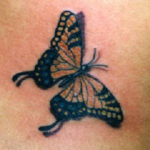 立体的帝王蝴蝶纹身图案