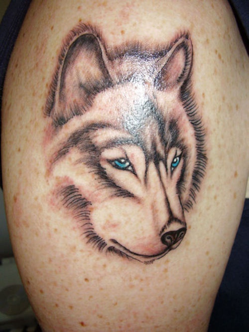 严肃的狼与蓝色眼睛纹身图案
