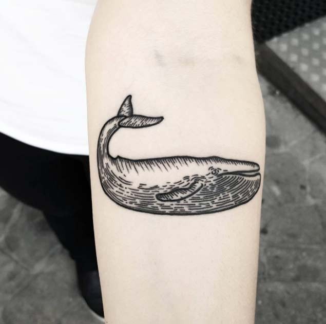 小臂简单设计的黑色线条有趣鲸鱼纹身图案