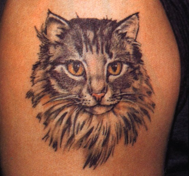 灰猫肖像纹身图案