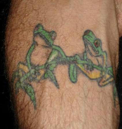 青蛙在树枝上纹身图案