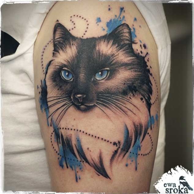 手臂彩色可爱的猫与蓝色眼睛纹身图案