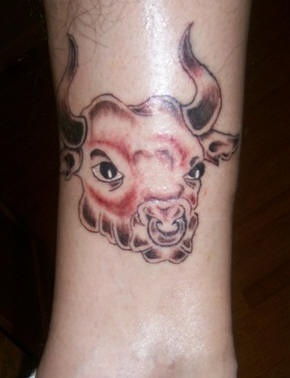 年轻的公牛头部纹身图案