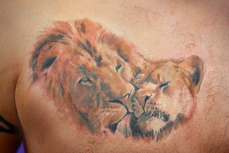 彩色狮子母子胸部纹身图案