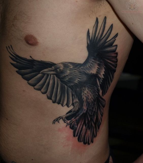 侧肋飞行的黑色乌鸦写实纹身图案