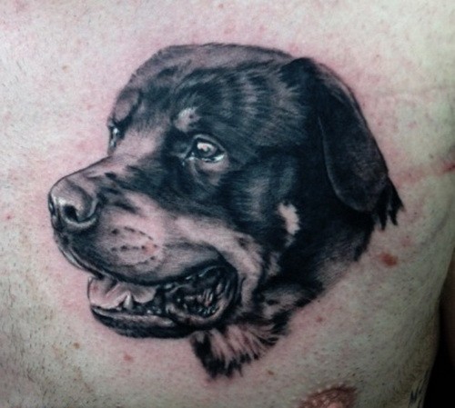 胸部可爱的黑白罗威纳犬纹身图案