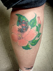 红色芙蓉花和黑色的青蛙纹身图案