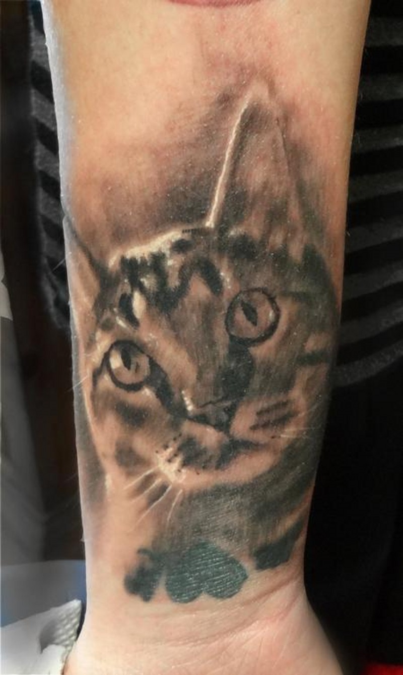 小臂逼真的黑白猫肖像纹身图案