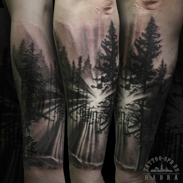 手臂惊人的黑白森林日出纹身图案