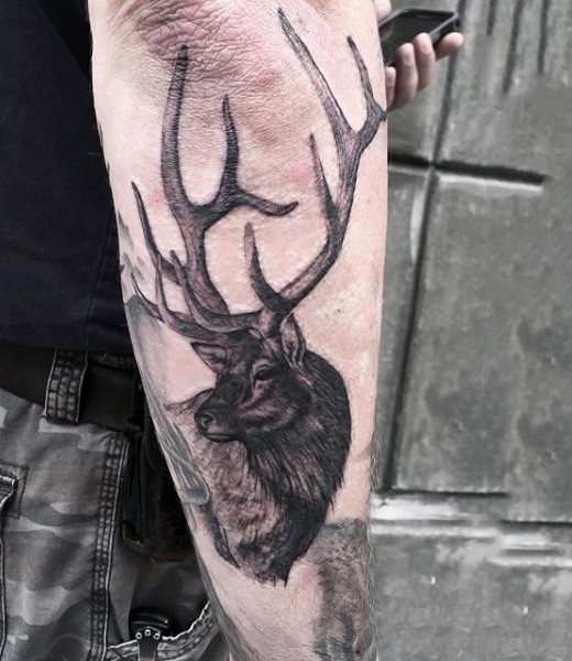 小臂写实黑灰个性鹿纹身图案