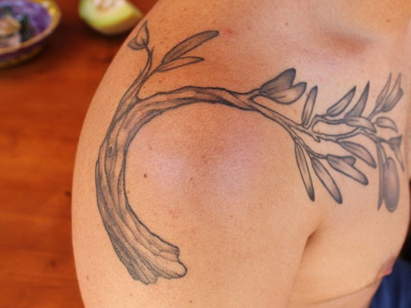 橄榄树枝肩部纹身图案