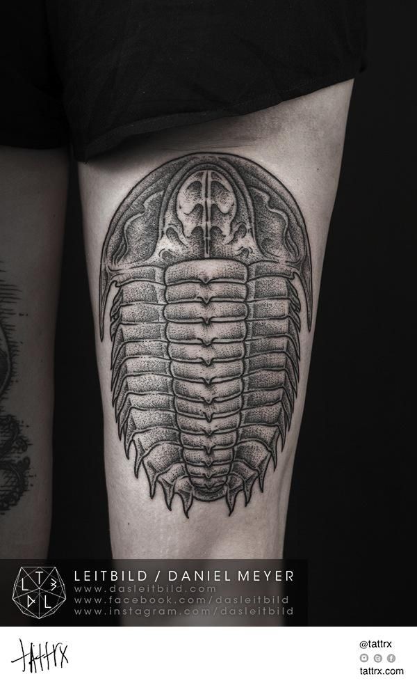 大腿黑色点刺甲虫纹身图案