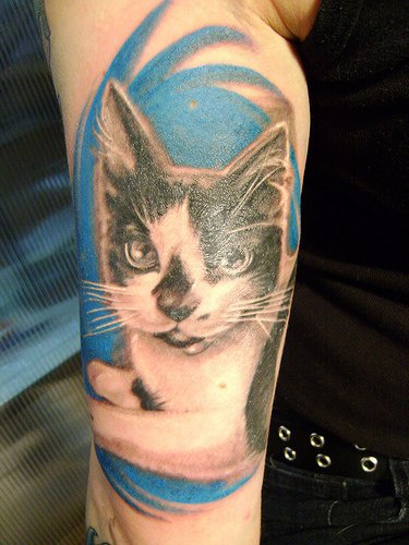 逼真的彩色猫纪念纹身图案