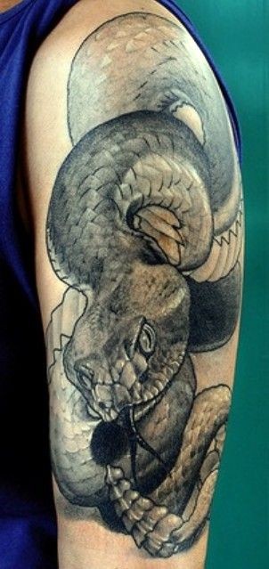 黑灰毒蛇手臂纹身图案