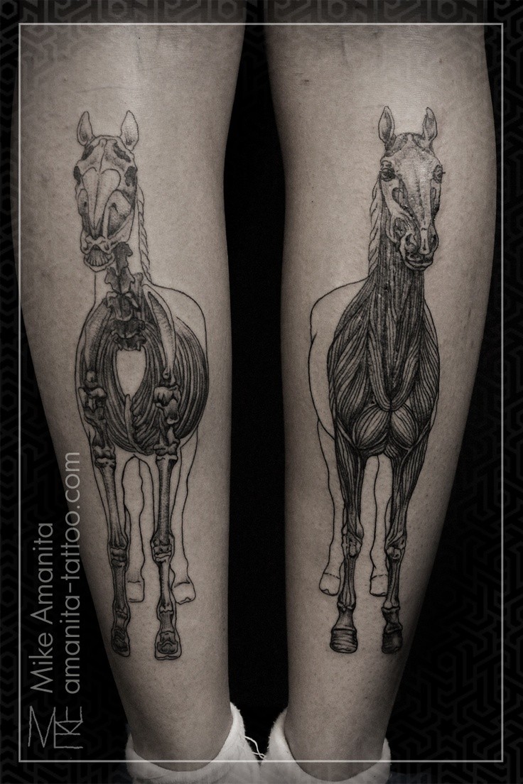 小腿奇妙的黑色线条肌肉马纹身图案