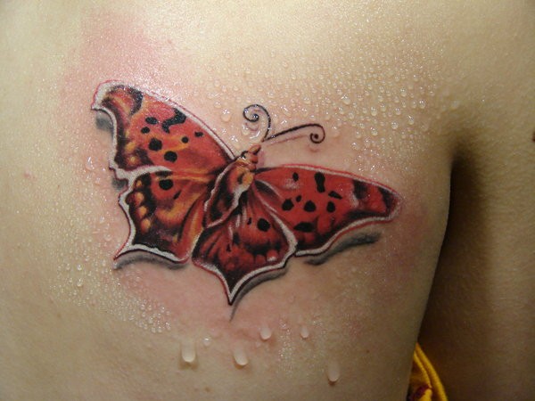 背部红色斑点蝴蝶纹身图案