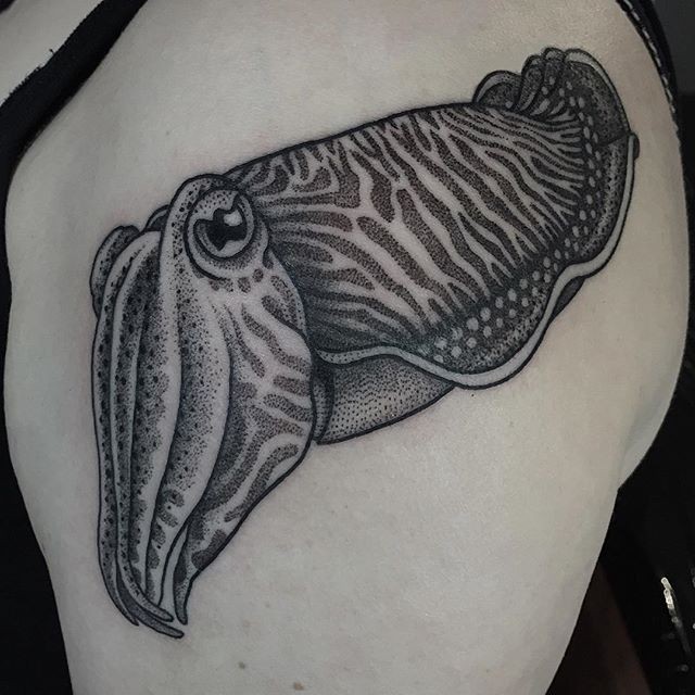 黑白点刺写实的鱿鱼纹身图案
