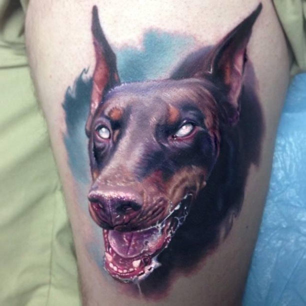 愤怒的杜宾犬和蓝色背景纹身图案