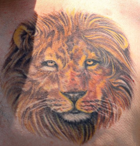 胸部狮子彩色纹身图案
