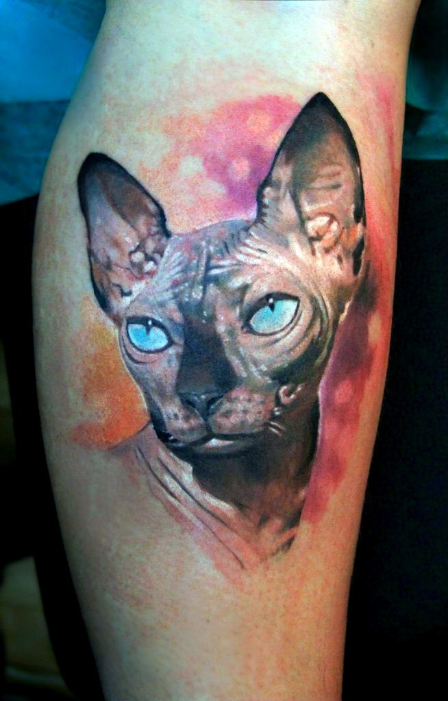 写实风格彩色斯芬克斯猫头像纹身图案