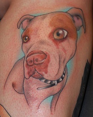 彩色斗牛梗犬纹身图案