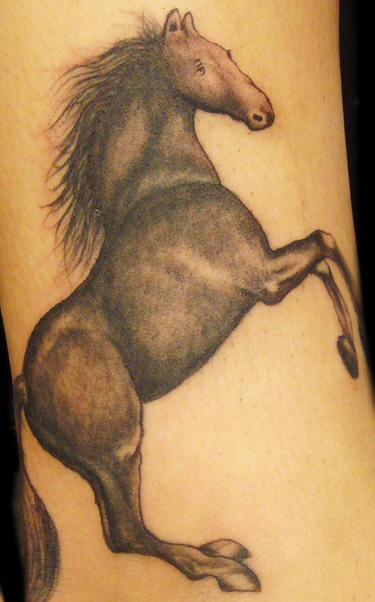 写实的黑马纹身图案