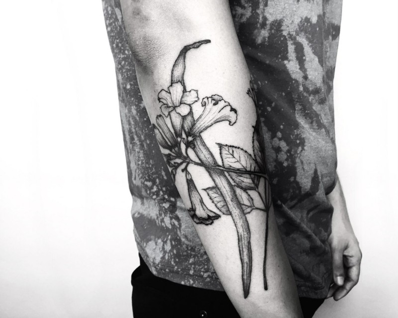 小臂各种黑灰花卉纹身图案