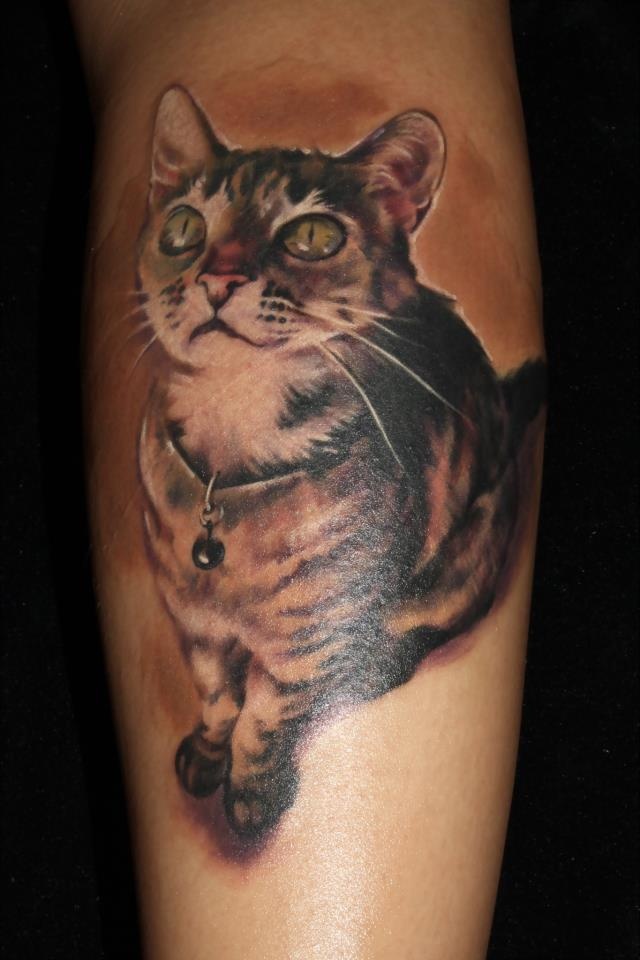彩色逼真的猫纹身图案