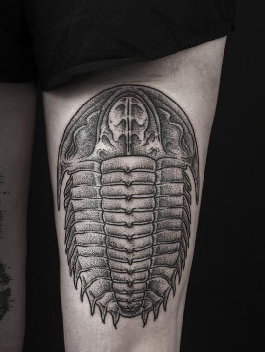 黑灰色昆虫大腿纹身图案