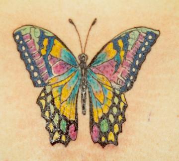 五颜六色的蝴蝶纹身图案