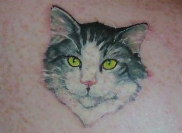 黄色眼睛的猫肖像纹身图案