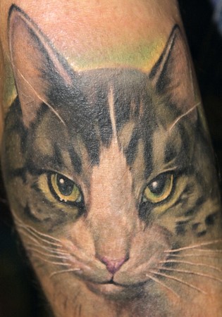 逼真的彩色猫纹身图案
