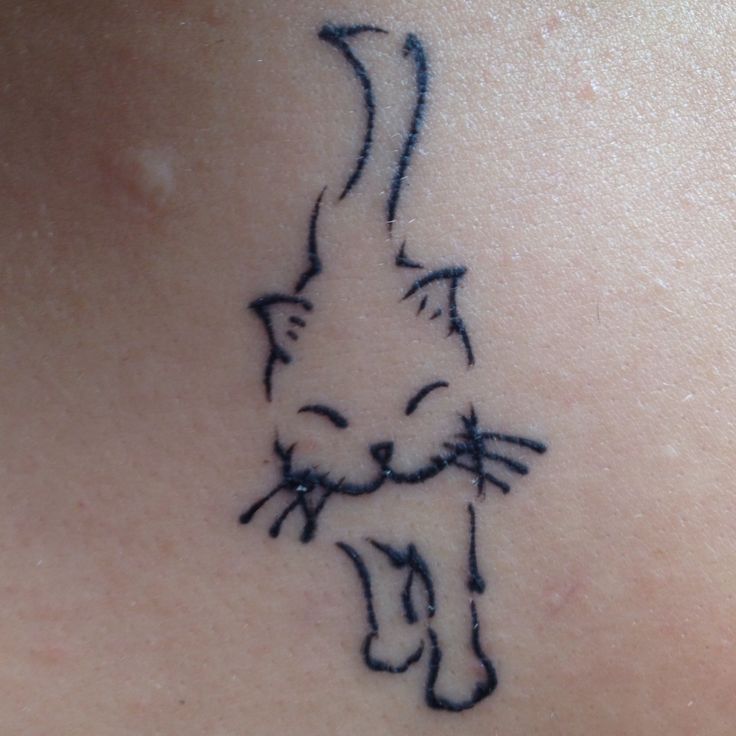 简约的线条猫纹身图案