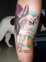 彩色的法国斗牛犬玫瑰纹身图案